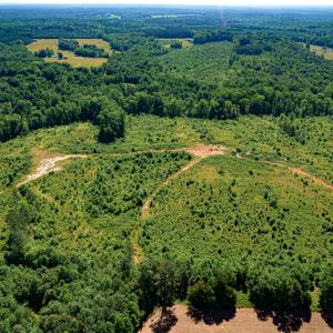 Photo #6 of SOLD property in Off Pleasant Grove Road, Halifax, VA 106.0 acres