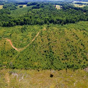 Photo #7 of SOLD property in Off Pleasant Grove Road, Halifax, VA 106.0 acres