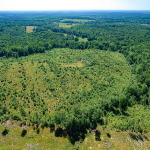 Photo #8 of SOLD property in Off Pleasant Grove Road, Halifax, VA 106.0 acres