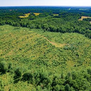 Photo #9 of SOLD property in Off Pleasant Grove Road, Halifax, VA 106.0 acres
