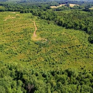 Photo #10 of SOLD property in Off Pleasant Grove Road, Halifax, VA 106.0 acres