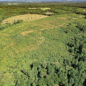 Photo #12 of SOLD property in Off Pleasant Grove Road, Halifax, VA 106.0 acres
