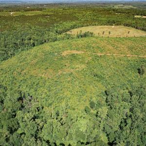 Photo #13 of SOLD property in Off Pleasant Grove Road, Halifax, VA 106.0 acres