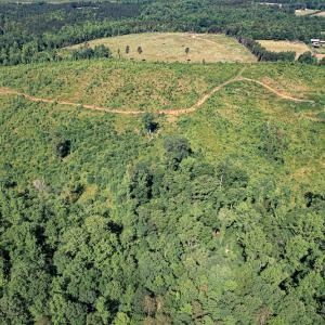 Photo #14 of SOLD property in Off Pleasant Grove Road, Halifax, VA 106.0 acres