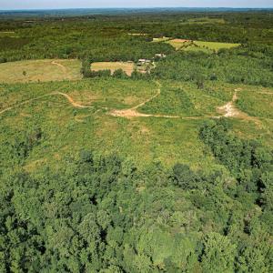 Photo #15 of SOLD property in Off Pleasant Grove Road, Halifax, VA 106.0 acres
