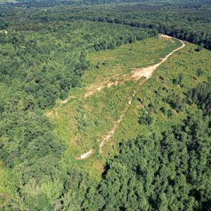 Photo #16 of SOLD property in Off Pleasant Grove Road, Halifax, VA 106.0 acres