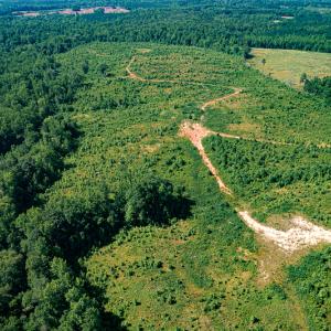 Photo #17 of SOLD property in Off Pleasant Grove Road, Halifax, VA 106.0 acres