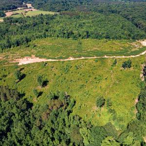 Photo #18 of SOLD property in Off Pleasant Grove Road, Halifax, VA 106.0 acres