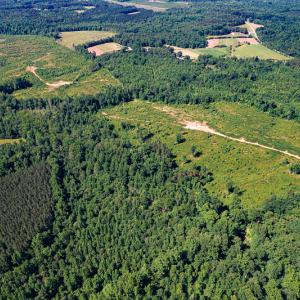 Photo #19 of SOLD property in Off Pleasant Grove Road, Halifax, VA 106.0 acres