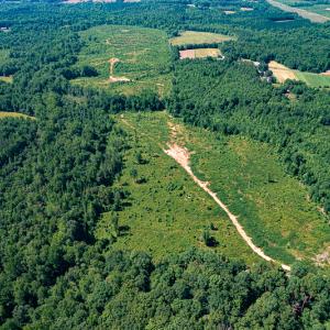 Photo #20 of SOLD property in Off Pleasant Grove Road, Halifax, VA 106.0 acres