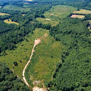 Photo #21 of SOLD property in Off Pleasant Grove Road, Halifax, VA 106.0 acres