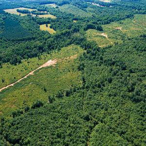 Photo #22 of SOLD property in Off Pleasant Grove Road, Halifax, VA 106.0 acres