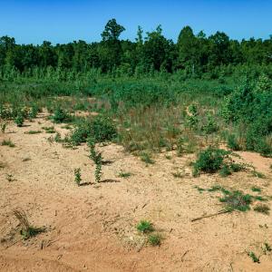 Photo #23 of SOLD property in Off Pleasant Grove Road, Halifax, VA 106.0 acres