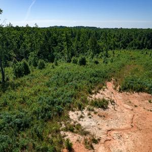 Photo #24 of SOLD property in Off Pleasant Grove Road, Halifax, VA 106.0 acres