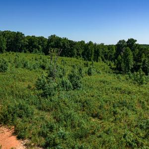 Photo #25 of SOLD property in Off Pleasant Grove Road, Halifax, VA 106.0 acres