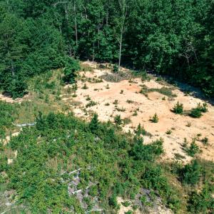 Photo #27 of SOLD property in Off Pleasant Grove Road, Halifax, VA 106.0 acres