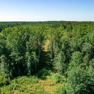 Photo #31 of SOLD property in Off Pleasant Grove Road, Halifax, VA 106.0 acres
