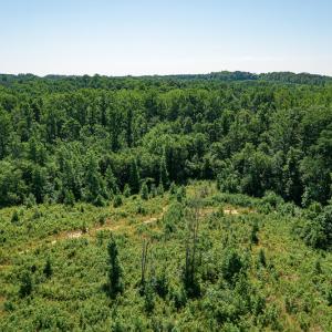 Photo #32 of SOLD property in Off Pleasant Grove Road, Halifax, VA 106.0 acres