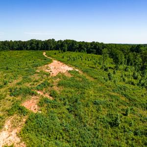 Photo #33 of SOLD property in Off Pleasant Grove Road, Halifax, VA 106.0 acres