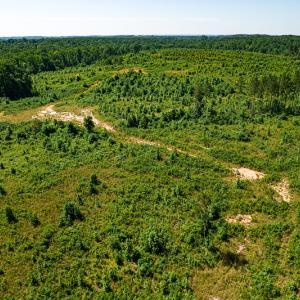 Photo #34 of SOLD property in Off Pleasant Grove Road, Halifax, VA 106.0 acres