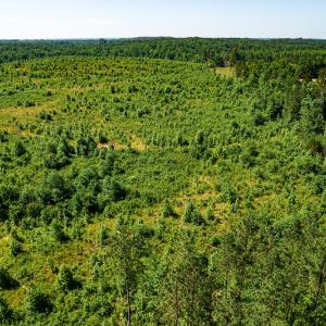 Photo #35 of SOLD property in Off Pleasant Grove Road, Halifax, VA 106.0 acres