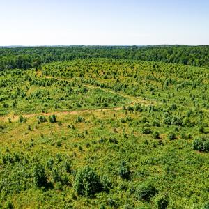Photo #36 of SOLD property in Off Pleasant Grove Road, Halifax, VA 106.0 acres