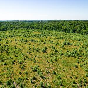 Photo #37 of SOLD property in Off Pleasant Grove Road, Halifax, VA 106.0 acres