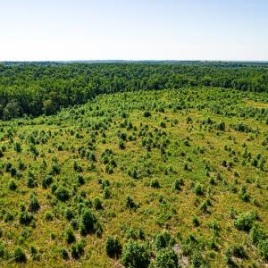Photo #38 of SOLD property in Off Pleasant Grove Road, Halifax, VA 106.0 acres
