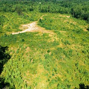 Photo #42 of SOLD property in Off Pleasant Grove Road, Halifax, VA 106.0 acres