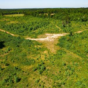 Photo #43 of SOLD property in Off Pleasant Grove Road, Halifax, VA 106.0 acres