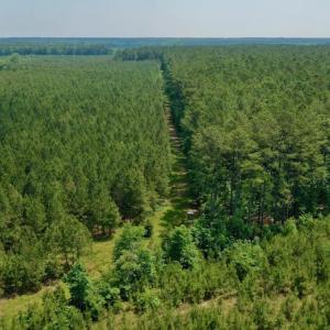 Photo #2 of SOLD property in Off Hwy 158, Jackson, NC 57.4 acres
