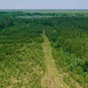 Photo #4 of SOLD property in Off Hwy 158, Jackson, NC 57.4 acres
