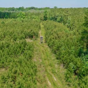 Photo #5 of SOLD property in Off Hwy 158, Jackson, NC 57.4 acres