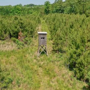 Photo #6 of SOLD property in Off Hwy 158, Jackson, NC 57.4 acres