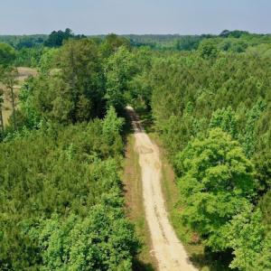 Photo #7 of SOLD property in Off Hwy 158, Jackson, NC 57.4 acres