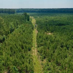 Photo #8 of SOLD property in Off Hwy 158, Jackson, NC 57.4 acres