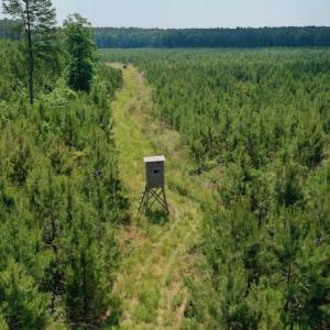 Photo #9 of SOLD property in Off Hwy 158, Jackson, NC 57.4 acres