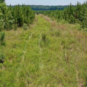 Photo #10 of SOLD property in Off Hwy 158, Jackson, NC 57.4 acres
