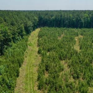Photo #12 of SOLD property in Off Hwy 158, Jackson, NC 57.4 acres