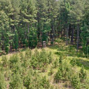 Photo #13 of SOLD property in Off Hwy 158, Jackson, NC 57.4 acres