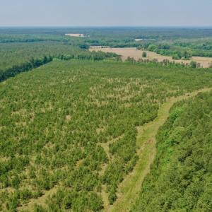 Photo #14 of SOLD property in Off Hwy 158, Jackson, NC 57.4 acres