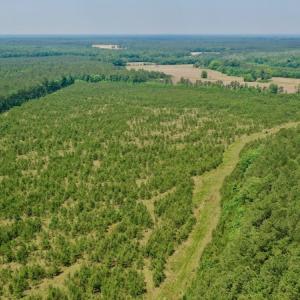 Photo #15 of SOLD property in Off Hwy 158, Jackson, NC 57.4 acres