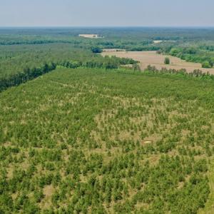 Photo #16 of SOLD property in Off Hwy 158, Jackson, NC 57.4 acres