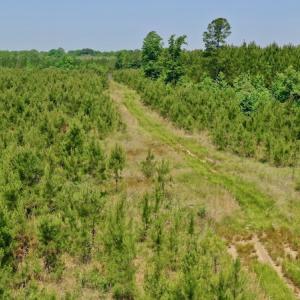 Photo #21 of SOLD property in Off Hwy 158, Jackson, NC 57.4 acres
