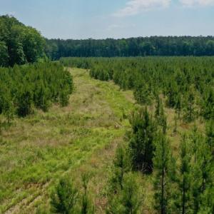 Photo #23 of SOLD property in Off Hwy 158, Jackson, NC 57.4 acres