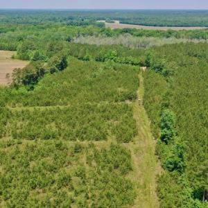 Photo #24 of SOLD property in Off Hwy 158, Jackson, NC 57.4 acres