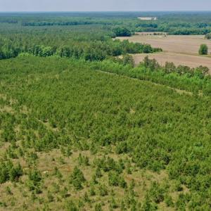 Photo #28 of SOLD property in Off Hwy 158, Jackson, NC 57.4 acres