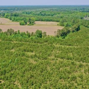 Photo #29 of SOLD property in Off Hwy 158, Jackson, NC 57.4 acres