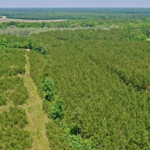 Photo #30 of SOLD property in Off Hwy 158, Jackson, NC 57.4 acres