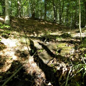 Photo #15 of SOLD property in Off Mica Road, Ridgeway, VA 5.3 acres